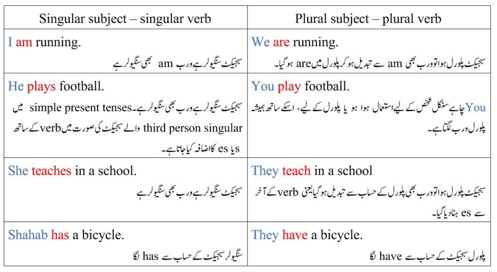subject verb agreement explained in Urdu - single subject single verb