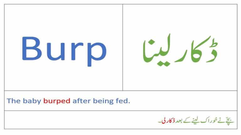 Body sounds vocabulary with Urdu meaning