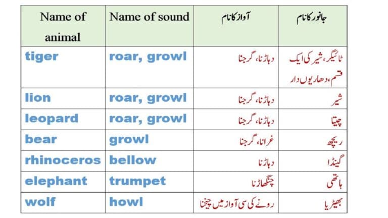 Animal sound names in English and Urdu