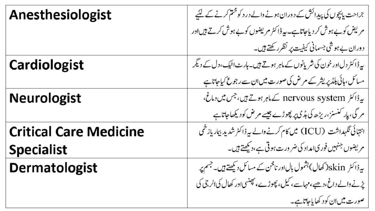 names-of-types-of-doctors-and-specialist-doctors-in-english-urdu