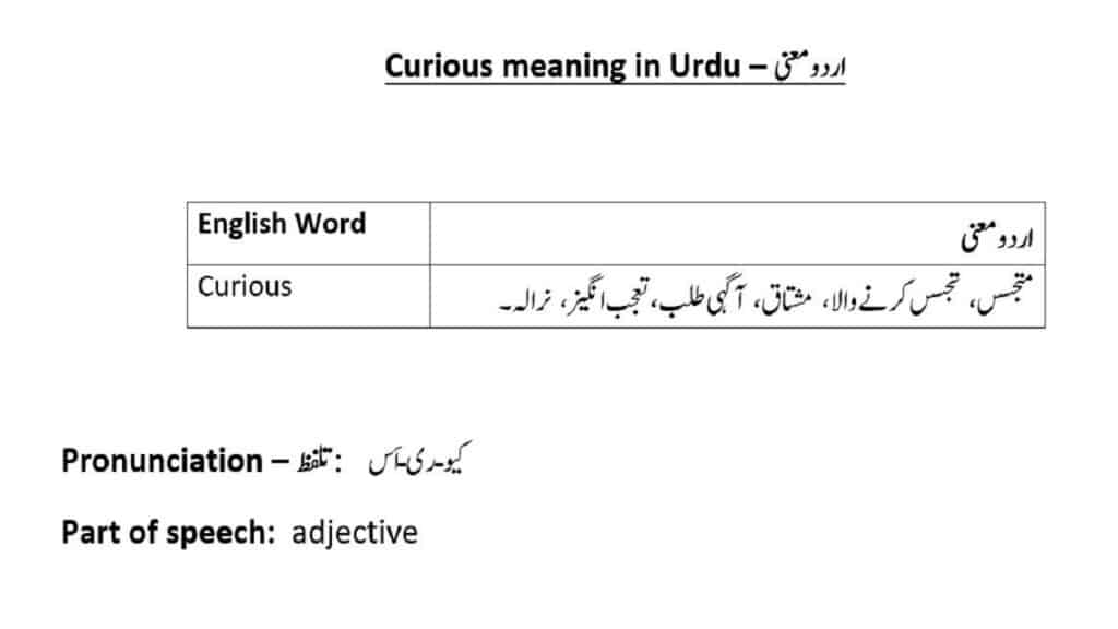 curious-meaning-in-urdu-meaning-in-urdu-curious-sentences