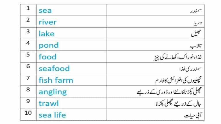 Sea food names in English and Urdu