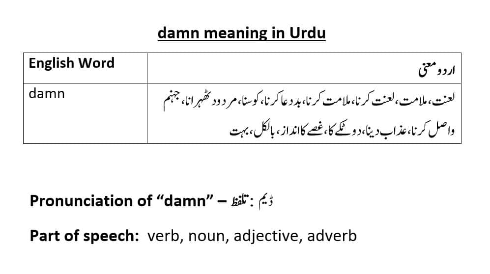 Damn Meaning In Urdu With Examples Definition And Pronunciation
