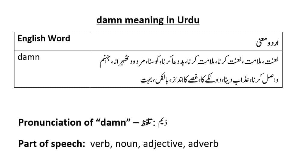 damn meaning in Urdu with examples, definition, and pronunciation