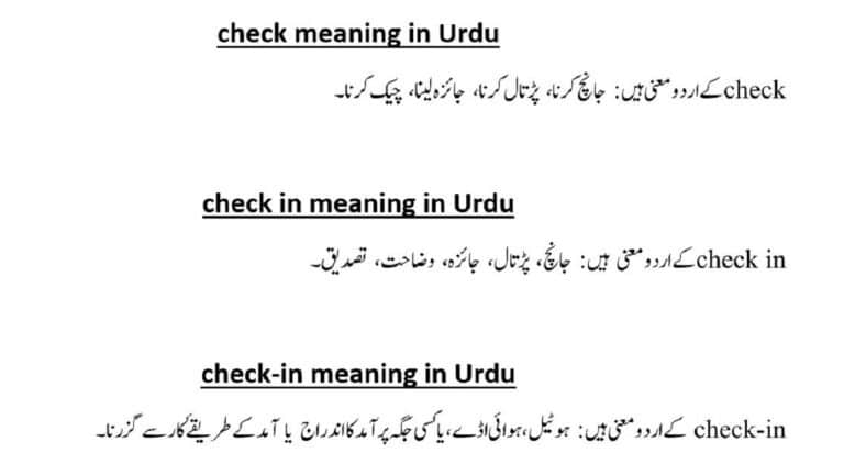 check in meaning in Urdu