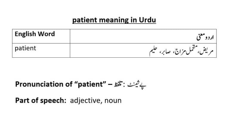 patient meaning in Urdu