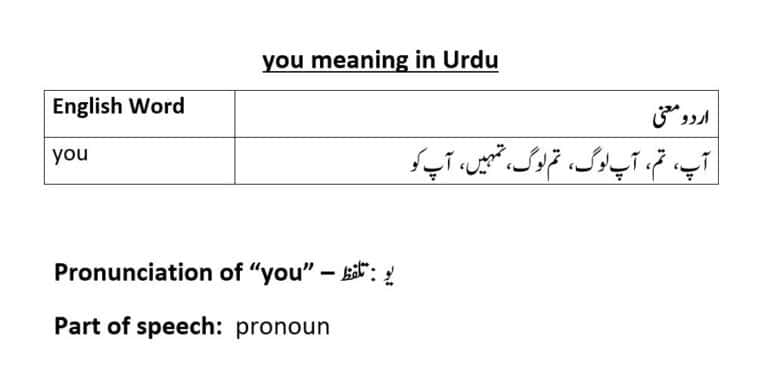 you meaning in Urdu