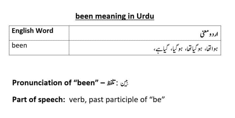 been meaning in Urdu