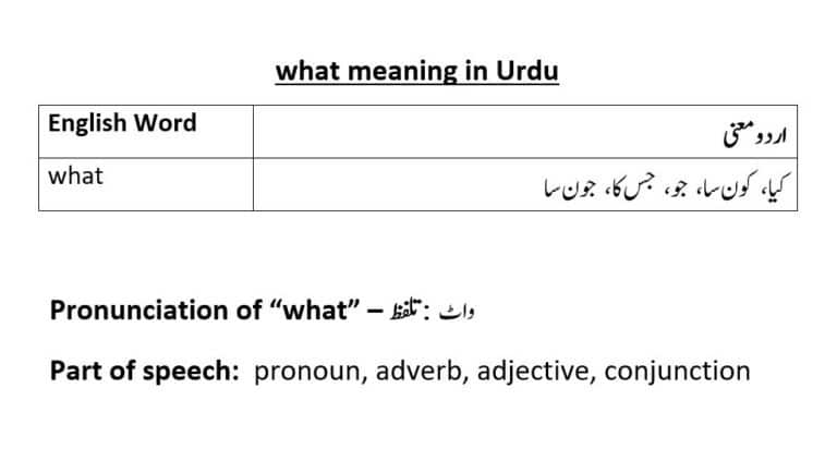 what meaning in Urdu