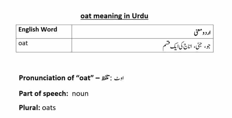 oat meaning in Urdu