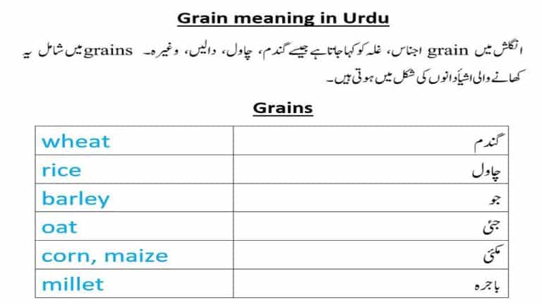 Grain meaning in Urdu from names of grains beans seeds nuts