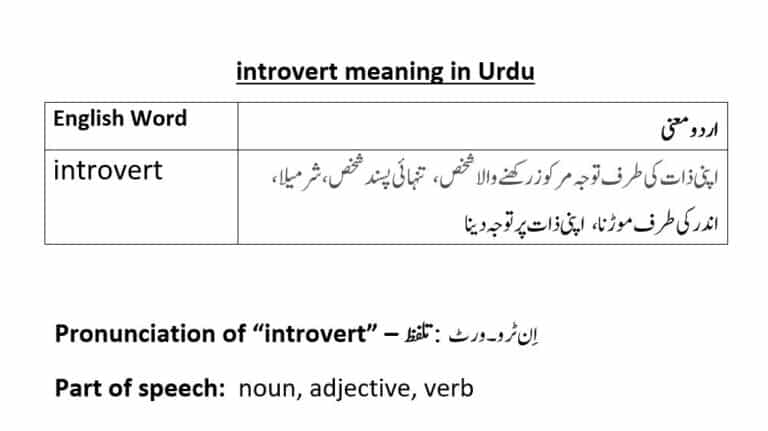 introvert meaning in Urdu