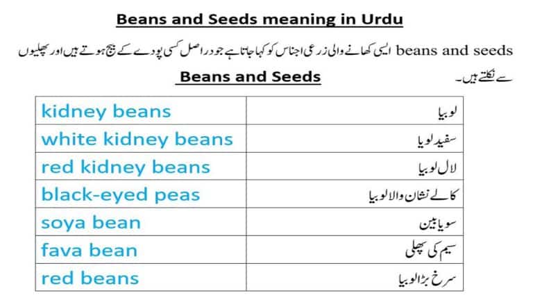 Beans and seeds meanings in Urdu from names of grains beans seeds nuts