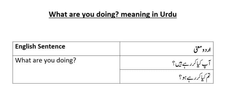 what are you doing meaning in Urdu