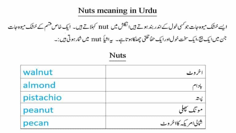 Nuts meaning in Urdu from names of grains beans seeds nuts