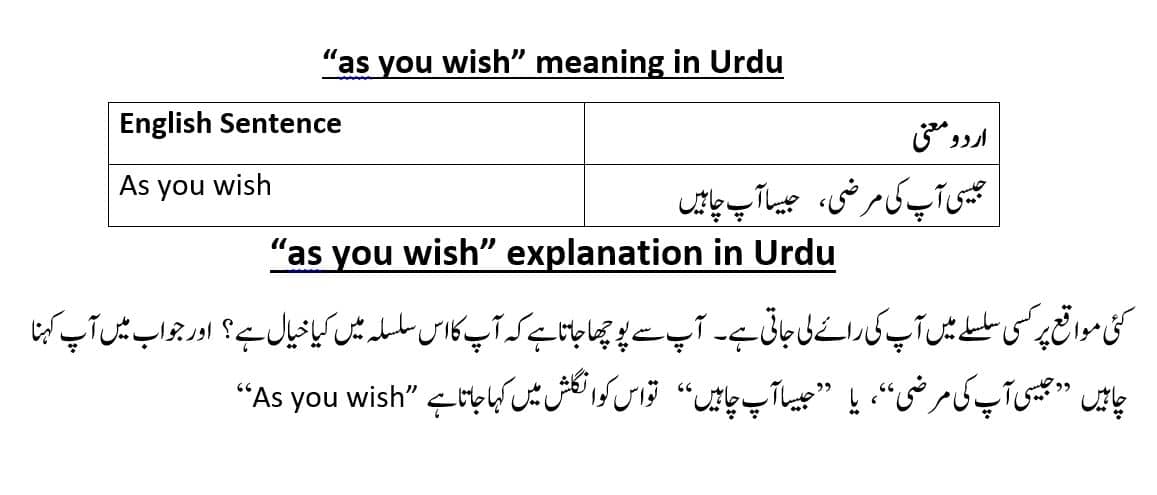 as-you-wish-meaning-in-urdu-as-you-wish-explained-in-urdu