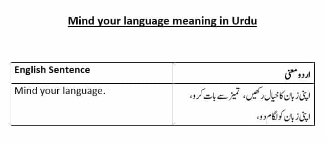 Mind your language meaning in Urdu