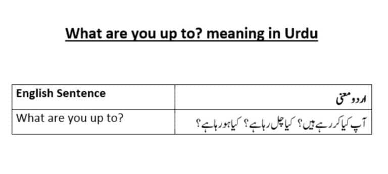 What are you up to meaning in Urdu