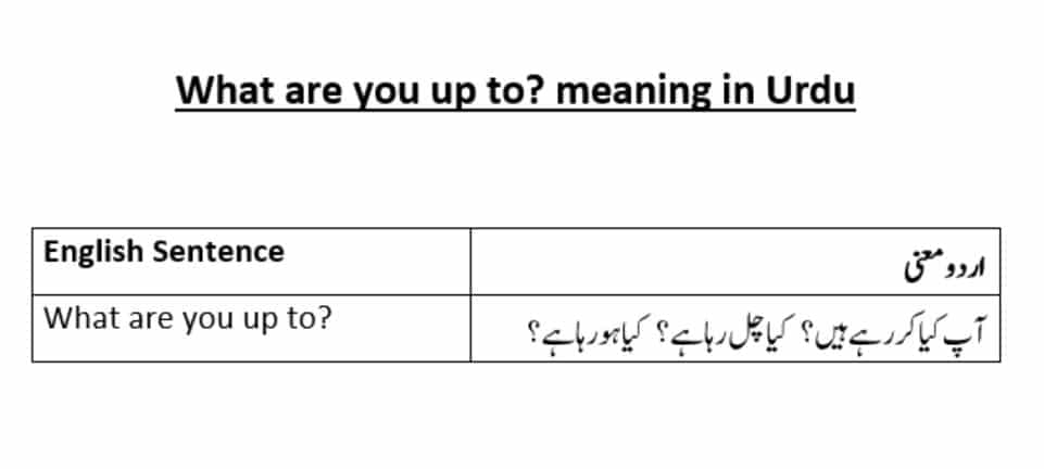 what-are-you-up-to-meaning-in-urdu-explanation-in-urdu