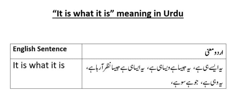 it is what it is meaning in Urdu