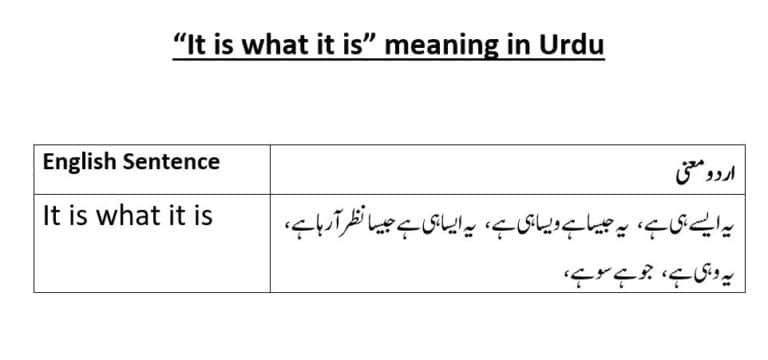 it-is-what-it-is-meaning-in-urdu-and-its-use-in-example-sentences