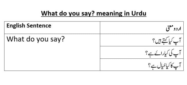 what do you say meaning in Urdu