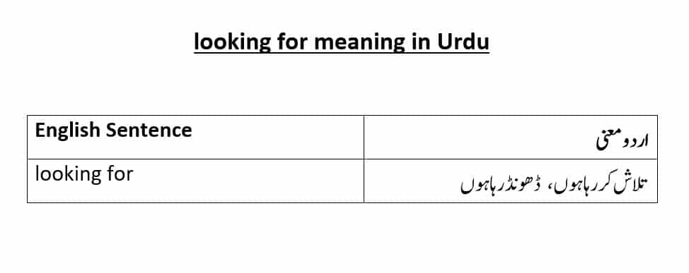 looking for meaning in Urdu