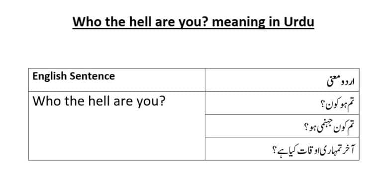 Who the hell are you meaning in Urdu