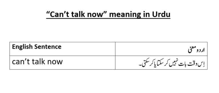 can’t talk now meaning in Urdu