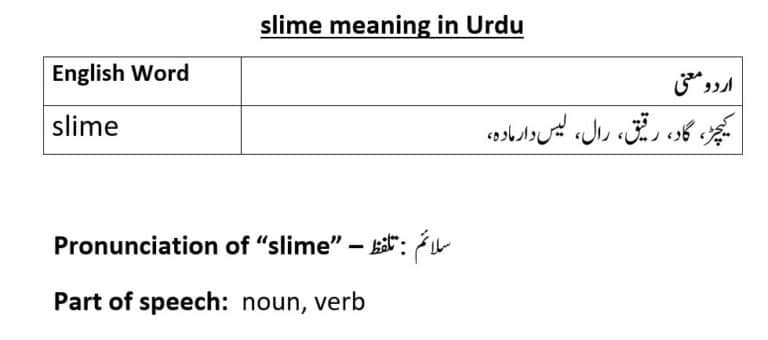 slime meaning in Urdu.