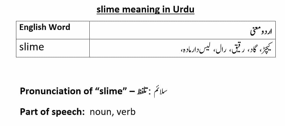 slime-meaning-in-urdu-with-examples-definition-and-pronunciation