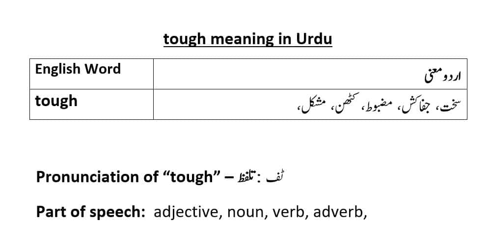 tough-meaning-in-urdu-examples-of-tough-in-sentences