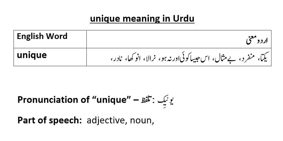 unique-meaning-in-urdu-examples-of-unique-in-sentences