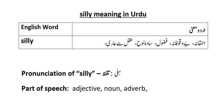 silly meaning in Urdu