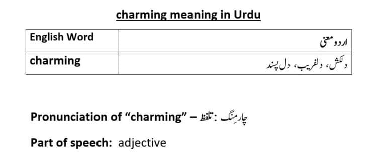 charming meaning in Urdu