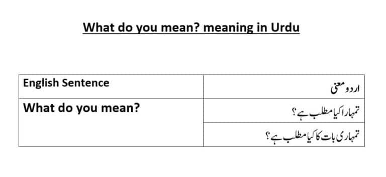what do you mean meaning in Urdu