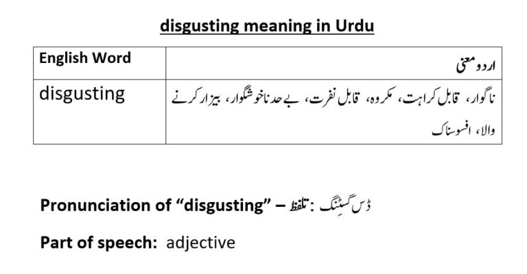 disgusting meaning in Urdu