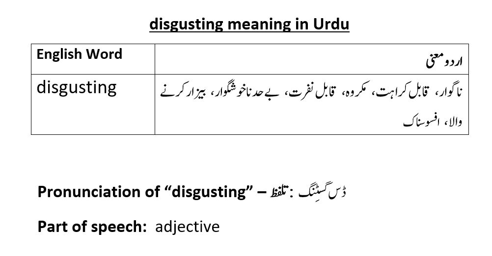 disgusting-meaning-in-urdu-with-examples-and-pronunciation