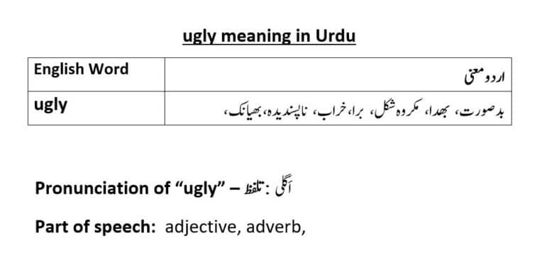ugly meaning in Urdu