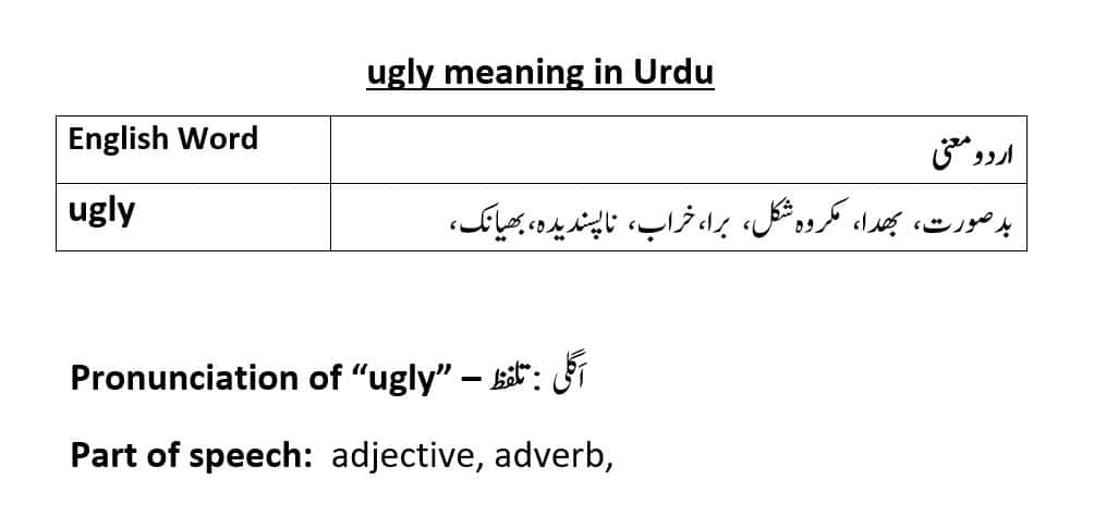 ugly-meaning-in-urdu-with-examples-definition-and-pronunciation