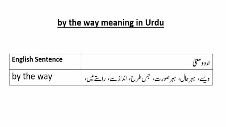 by the way meaning in Urdu