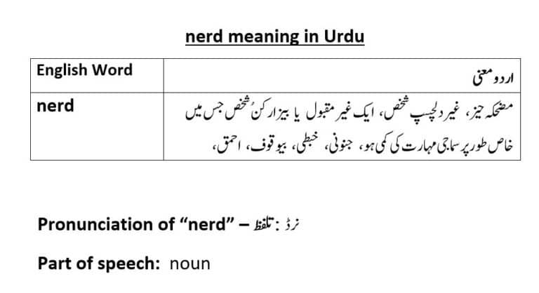 nerd meaning in Urdu