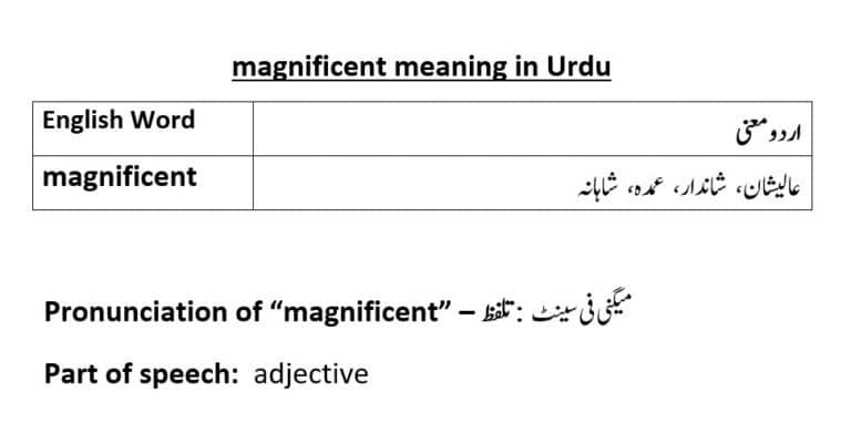 magnificent meaning in Urdu