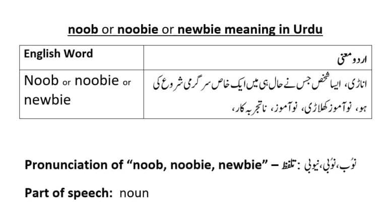 noob meaning in Urdu