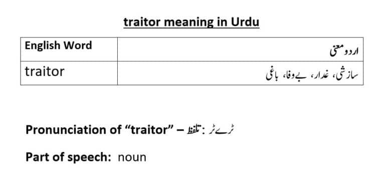 traitor meaning in Urdu