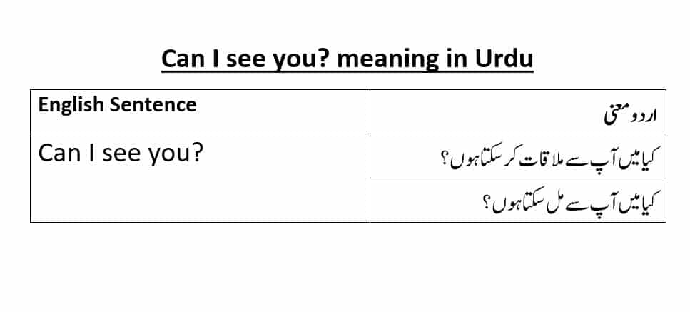 can-i-see-you-meaning-in-urdu-can-i-see-you-explained-in-urdu