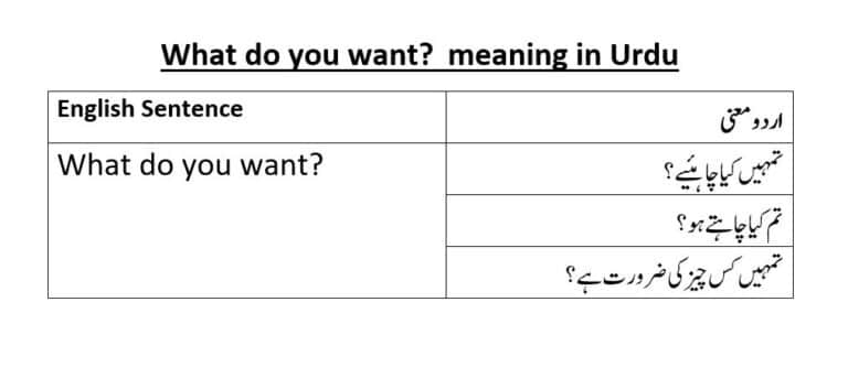 what do you want meaning in Urdu