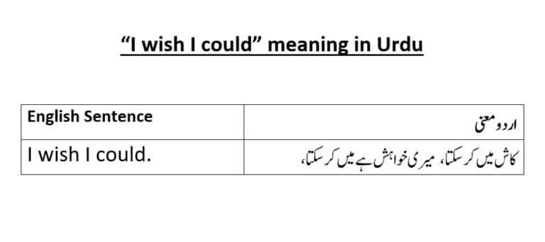 I wish I could meaning in Urdu
