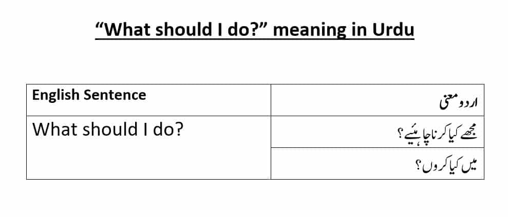 what-should-i-do-meaning-in-urdu-and-example-sentences