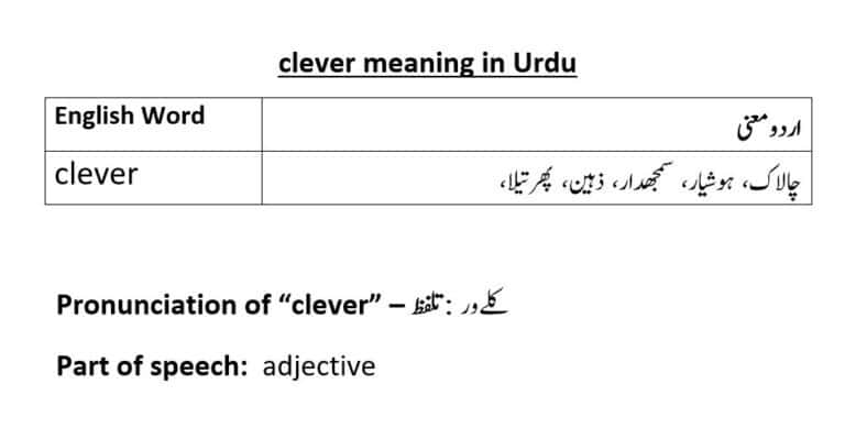 clever meaning in Urdu